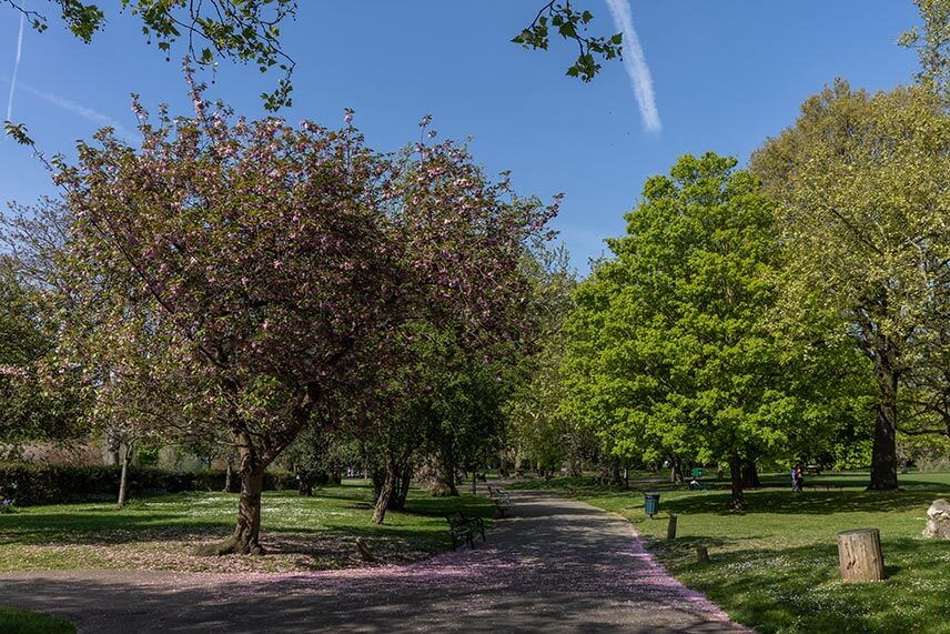 Parks and Open Spaces