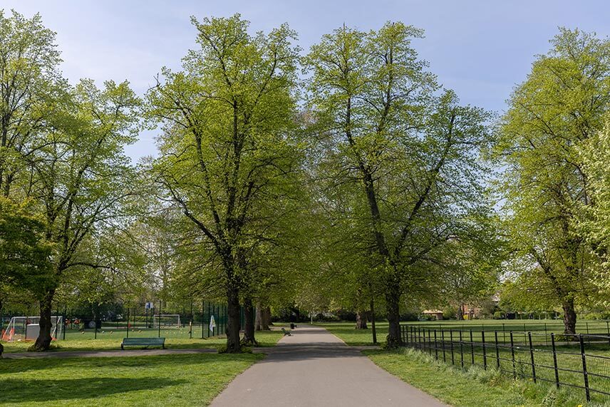 Myatts Fields Park